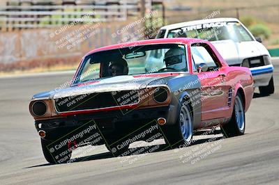 media/May-11-2025-Cobra Club (Sun) [[44ca44ec33]]/Passenger/